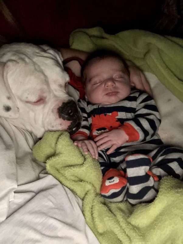 The cutest moment ever: a toddler sneaks out of bed to sleep with his loved dog