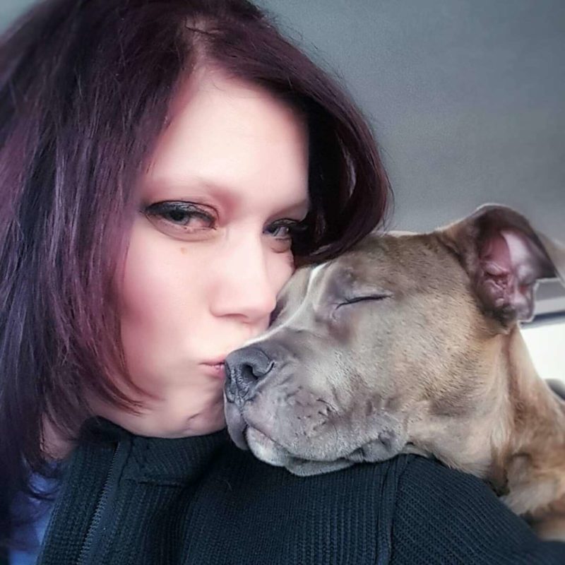 Woman secretly captures her boyfriend singing love song to their rescued pit bull dog