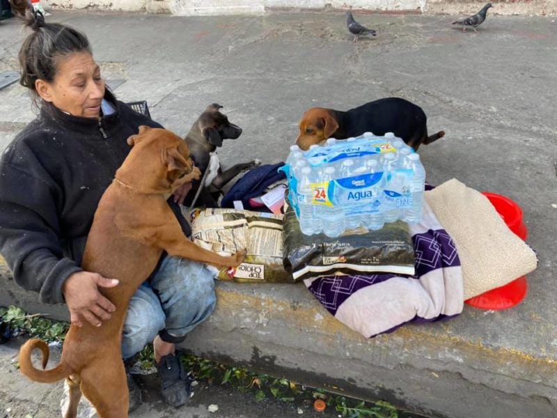 Woman without a place to live refuses to go to shelter because they won’t let her bring her dogs