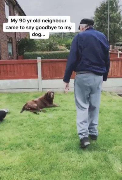 90-year-old neighbor comes to say goodbye to the dying dog - to his best friend