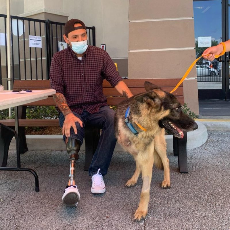 Dog that lost his leg after a car accident gets adopted by a veteran who also lost his leg
