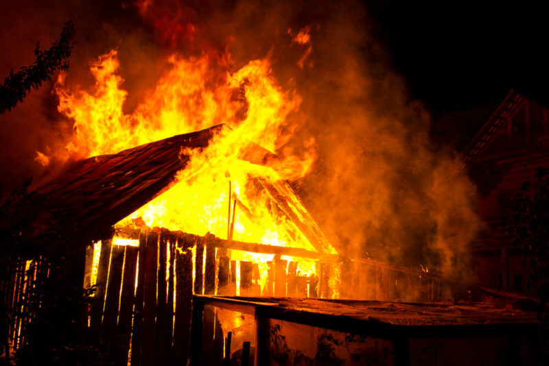 Heroic and selfless mother cat runs into a burning barn to save her kittens' lives