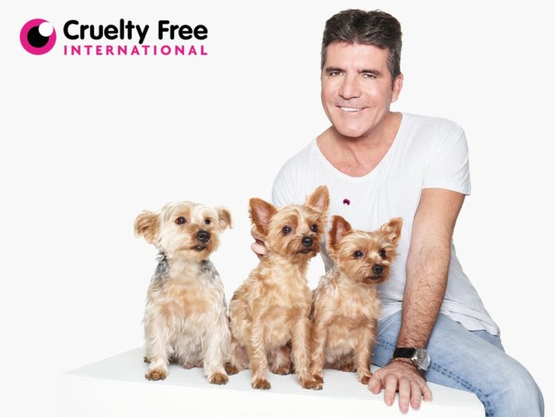 Simon Cowell rescues dogs from slaughterhouse: one of the dogs he saved visits him