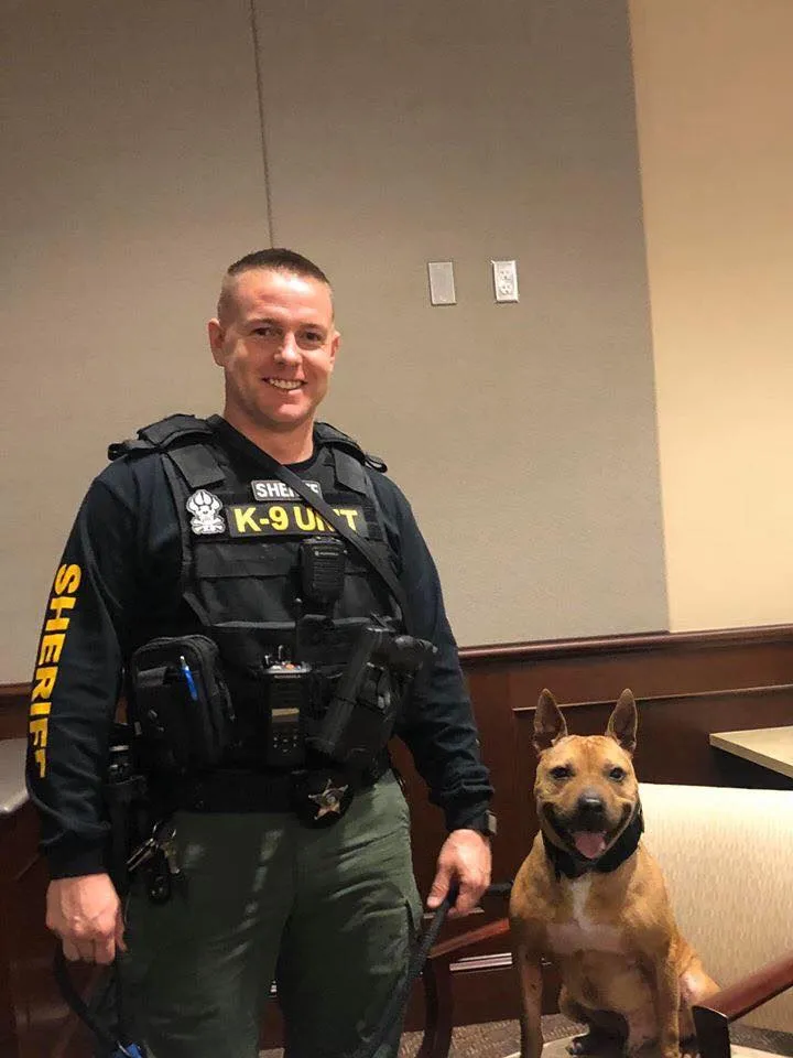 Years after the pit bull was rescued from a dogfighting ring, now he's a K-9 officer