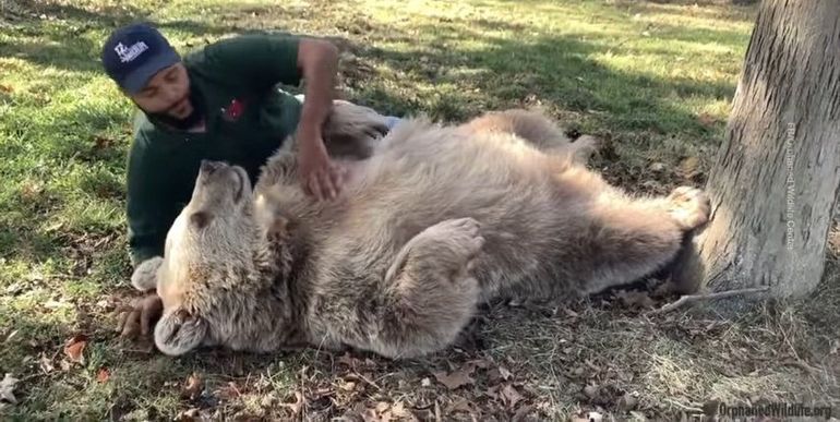 Bear recognizes the animal center worker who took care of her as a child long years ago