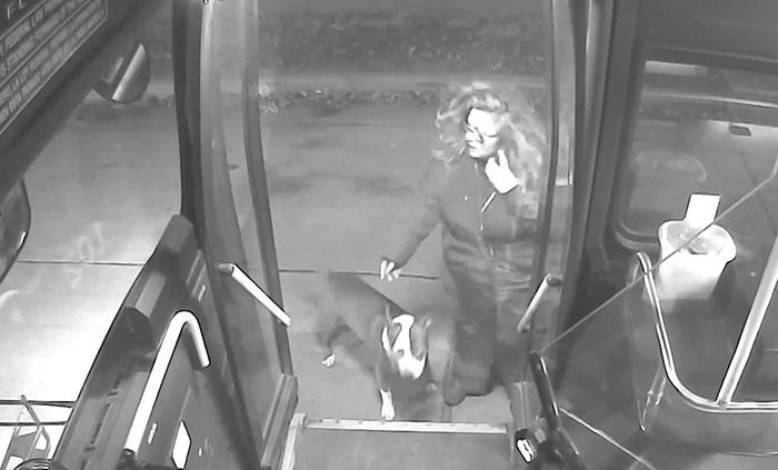 Bus driver rescued 2 lost dogs and helped them get home by Christmas