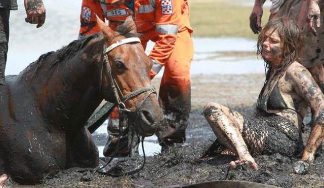 Owner couldn't do anything to help her horse stuck in a quagmire but she didn't leave her pet until the last