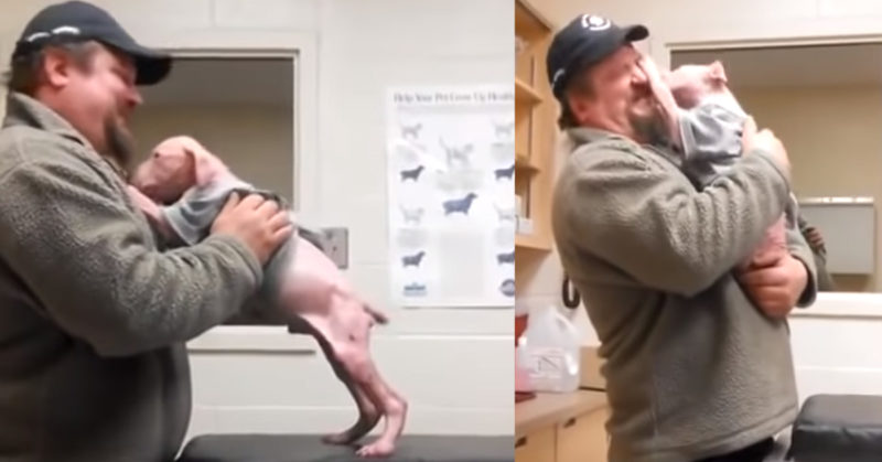 Dog's reaction to the man who saved his life and adopted him touches everyone