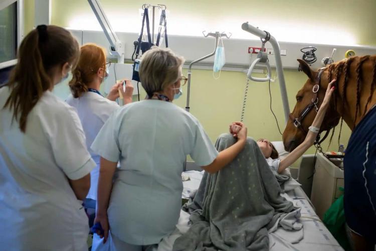 Dr. Peyo: an amazing horse that comforts cancer patients and soothes their pain