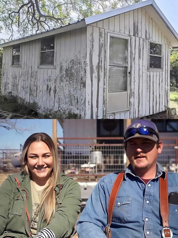 This Family Spent Just $16K to Turn an Abandoned Barn Into a Dream Home
