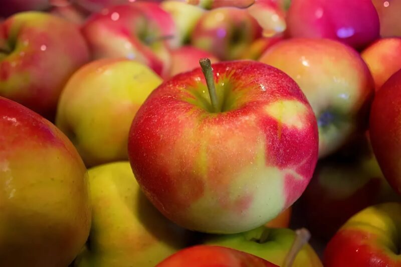Have you ever thought about what’s really on the skin of your apples? Oh, this is disturbing…
