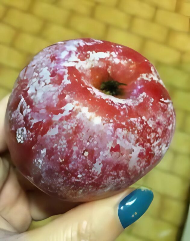 Have you ever thought about what’s really on the skin of your apples? Oh, this is disturbing…
