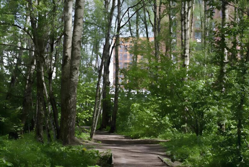 People saw an exhausted dog coming out of the forest with a bag in its mouth
