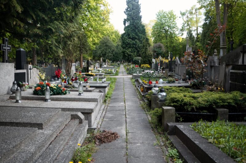 I froze when I saw a little girl crying at my wife’s grave։ But what she said next… hit me straight in the heart