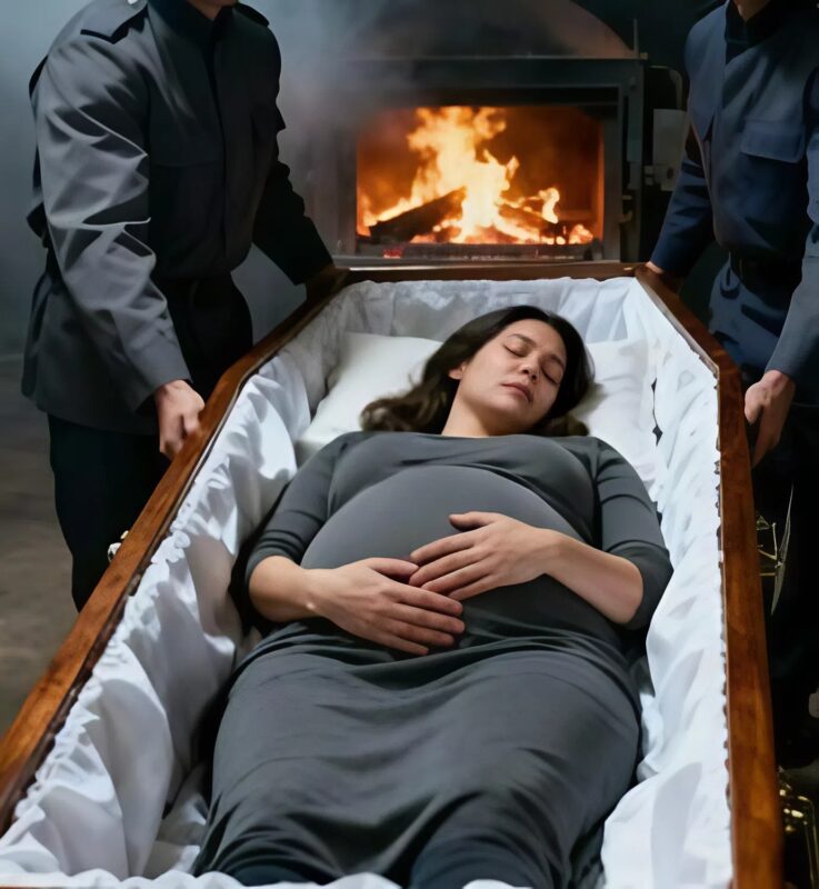 Through the crematorium glass, he noticed his pregnant wife's belly trembling slightly
