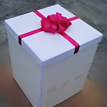 My stepdaughter was silent for five years, and then she sent me a HUGE package — when I saw what was inside, I collapsed onto the floor, gasping at what I saw