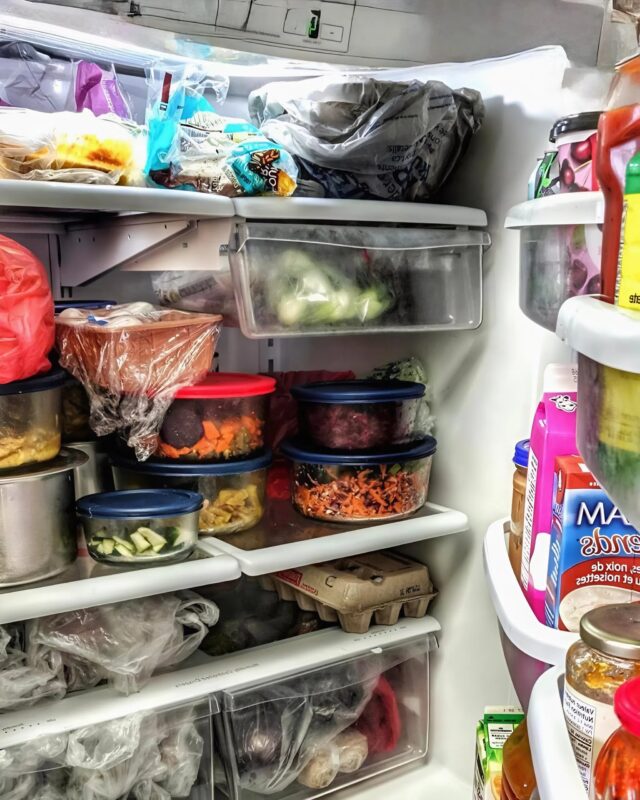 I filled the refrigerator to the brim with delicious food — but every time I came home, it was empty: One day I returned earlier than usual and finally saw where all the food had been going