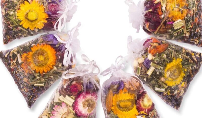 I arrived home late that evening, tired and with my head full of work, and the first thing I saw in the yard was that strange object my neighbors had left there